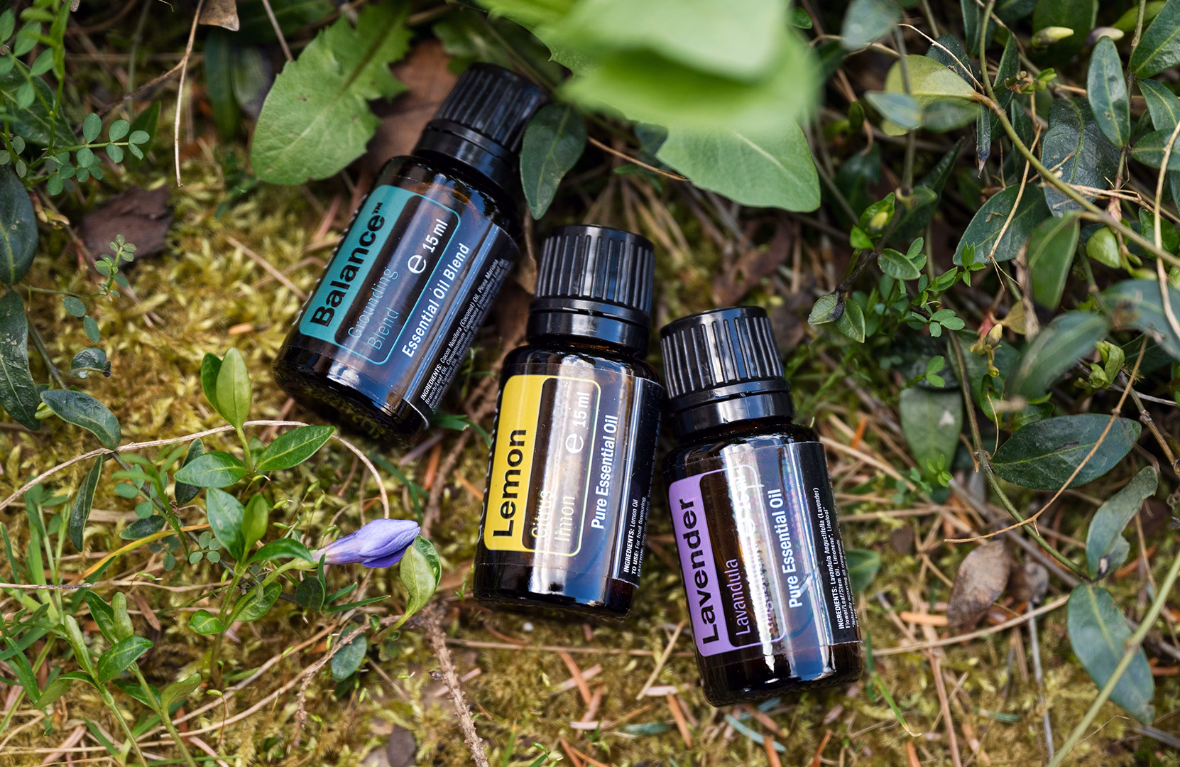 Szkoła Aromaterapii Integracyjnej online ITCM DAO