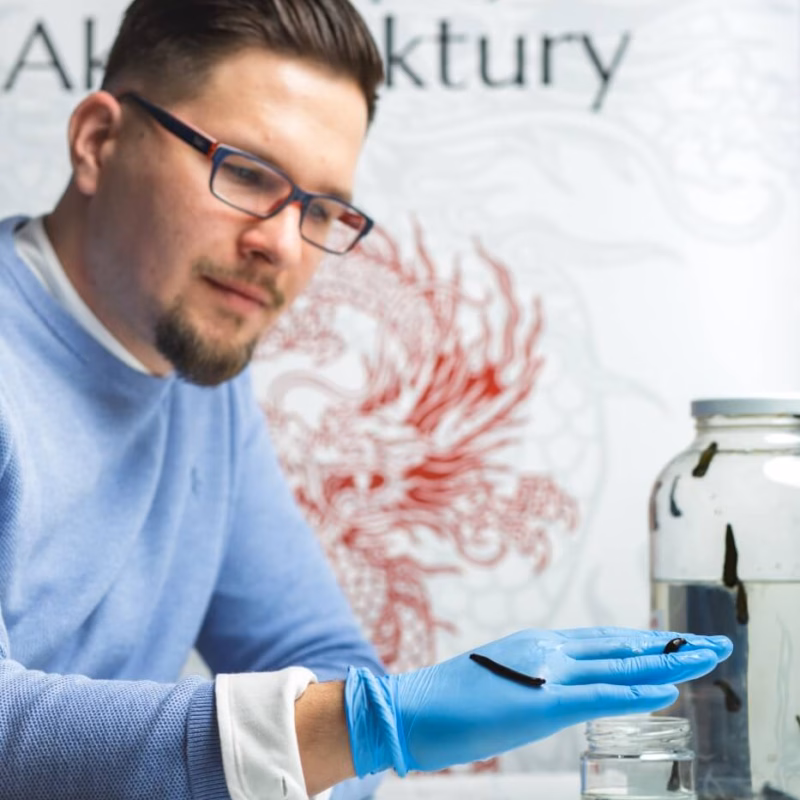 Szkoła Hirudoterapii i Larwoterapii Praktycznej