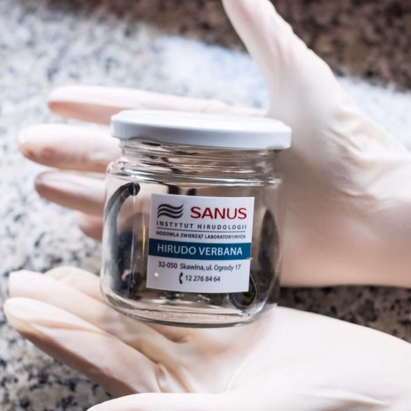 Szkoła Hirudoterapii i Larwoterapii Praktycznej