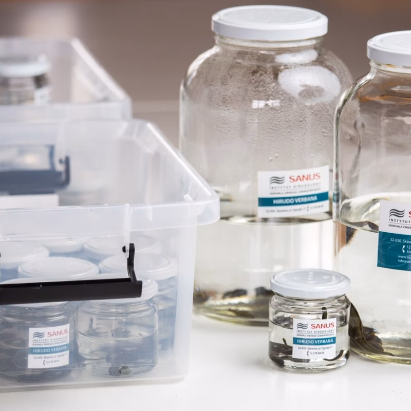 Szkoła Hirudoterapii i Larwoterapii Praktycznej