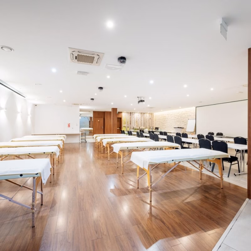 Szkoła Osteopatii Wisceralnej 7