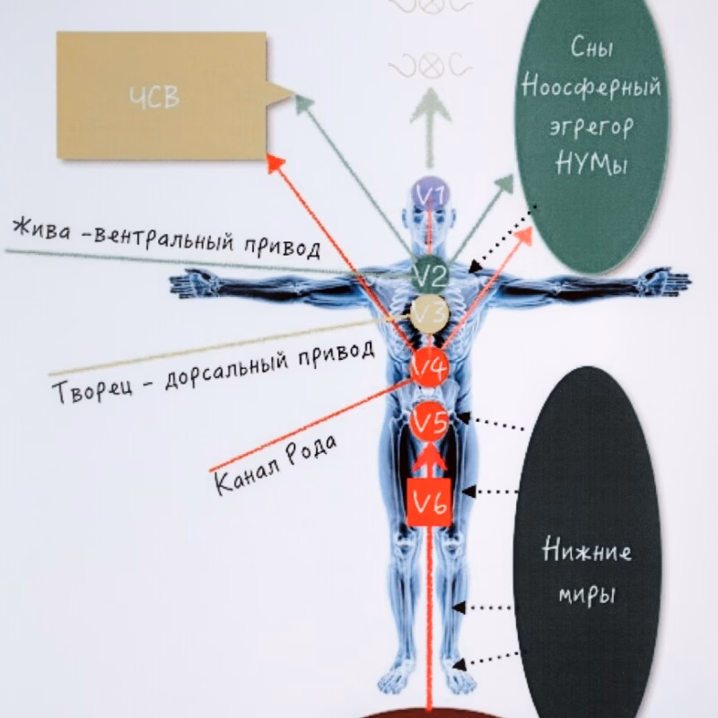 Szkoła Psychosomatyki Stosowanej
