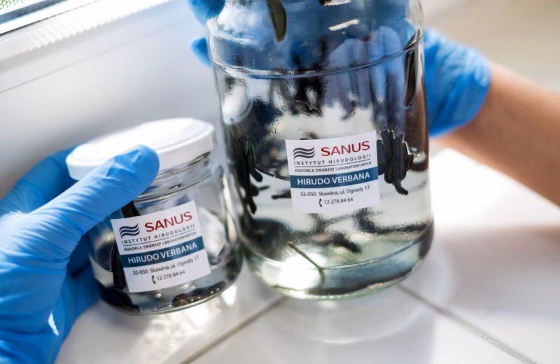 Pełny kurs Hirudoterapii według doktora Sukhova ITCM DAO