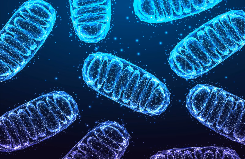 Medycyna mitochondrialna ITCM DAO
