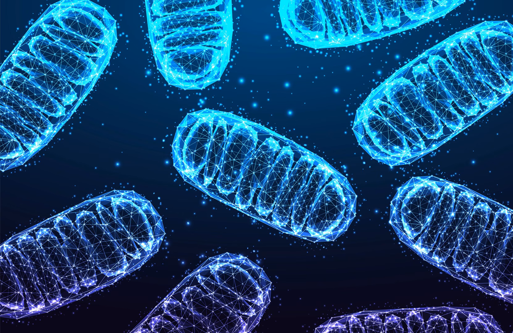 Medycyna mitochondrialna ITCM DAO