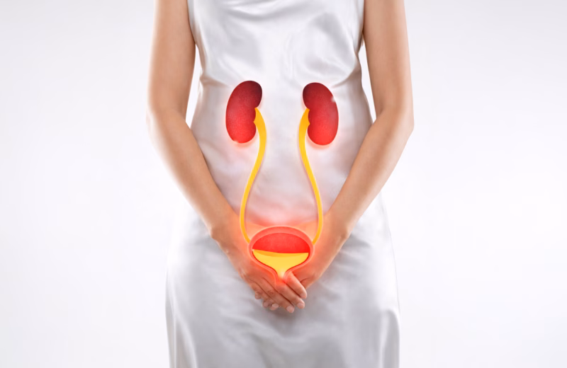 Pęcherz moczowy ITCM DAO