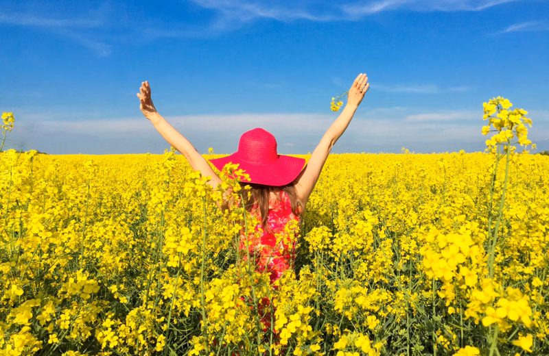 Wątroba Regulacja przemian metabolicznych ITCM DAO