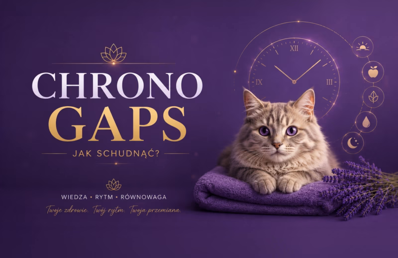 Chrono GAPS kurs online ITCM DAO